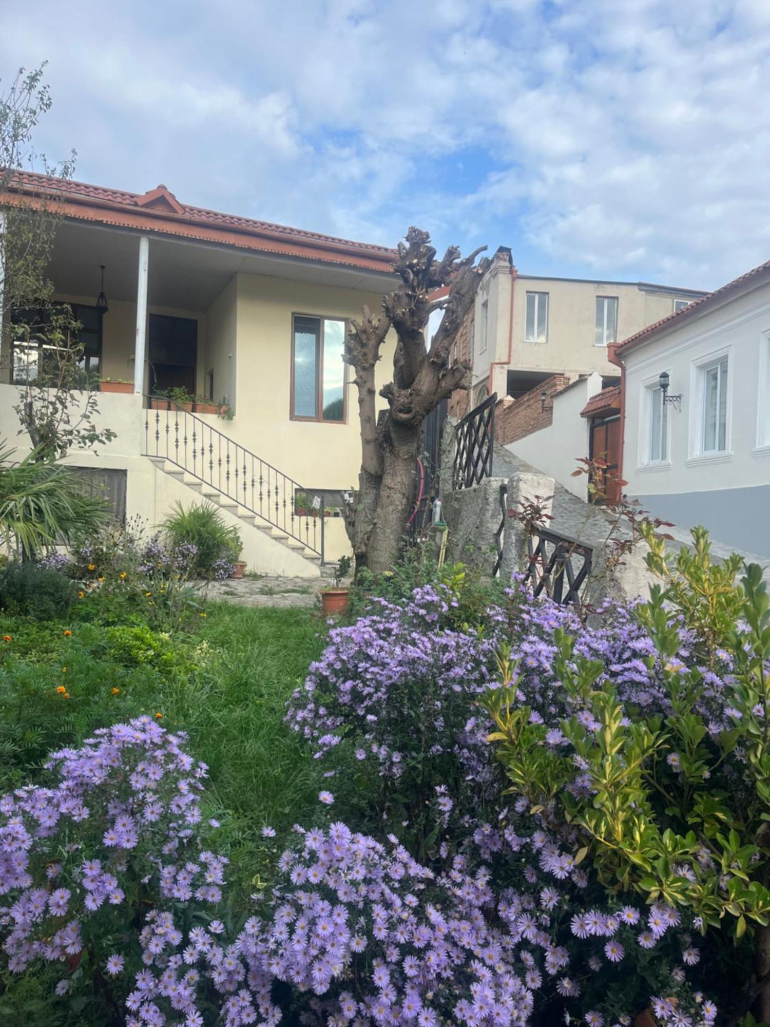 סינגאני Guest House Anuki מראה חיצוני תמונה